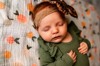 baby harper